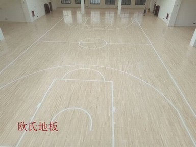 長(zhǎng)沙佳兆小學(xué)運(yùn)動(dòng)木地板案列
