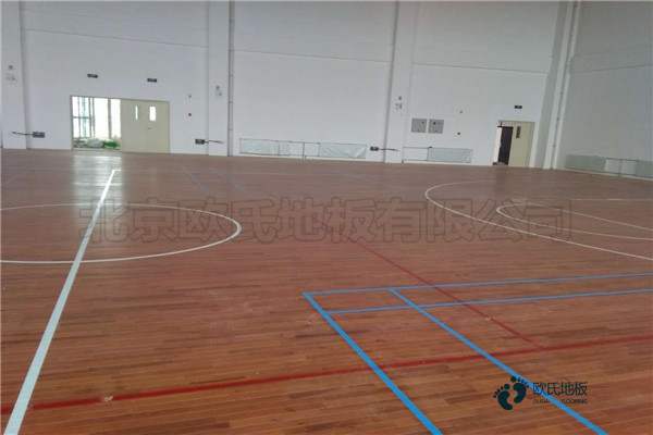 學(xué)校籃球場(chǎng)地木地板木紋型